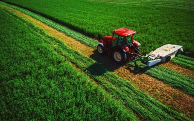 Agricultural and business property relief changes